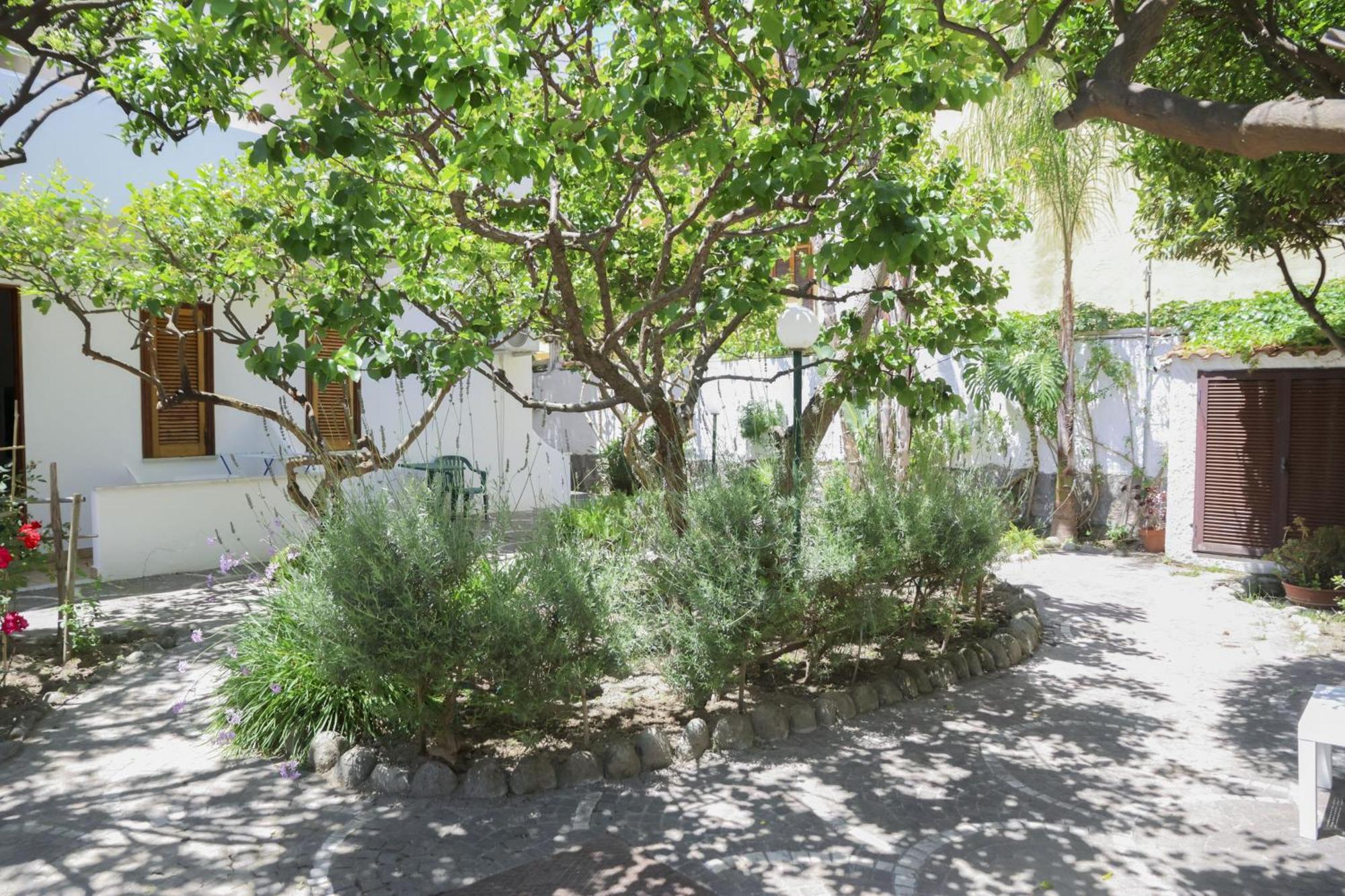 Hotel Cesotta Forio di Ischia Exterior foto