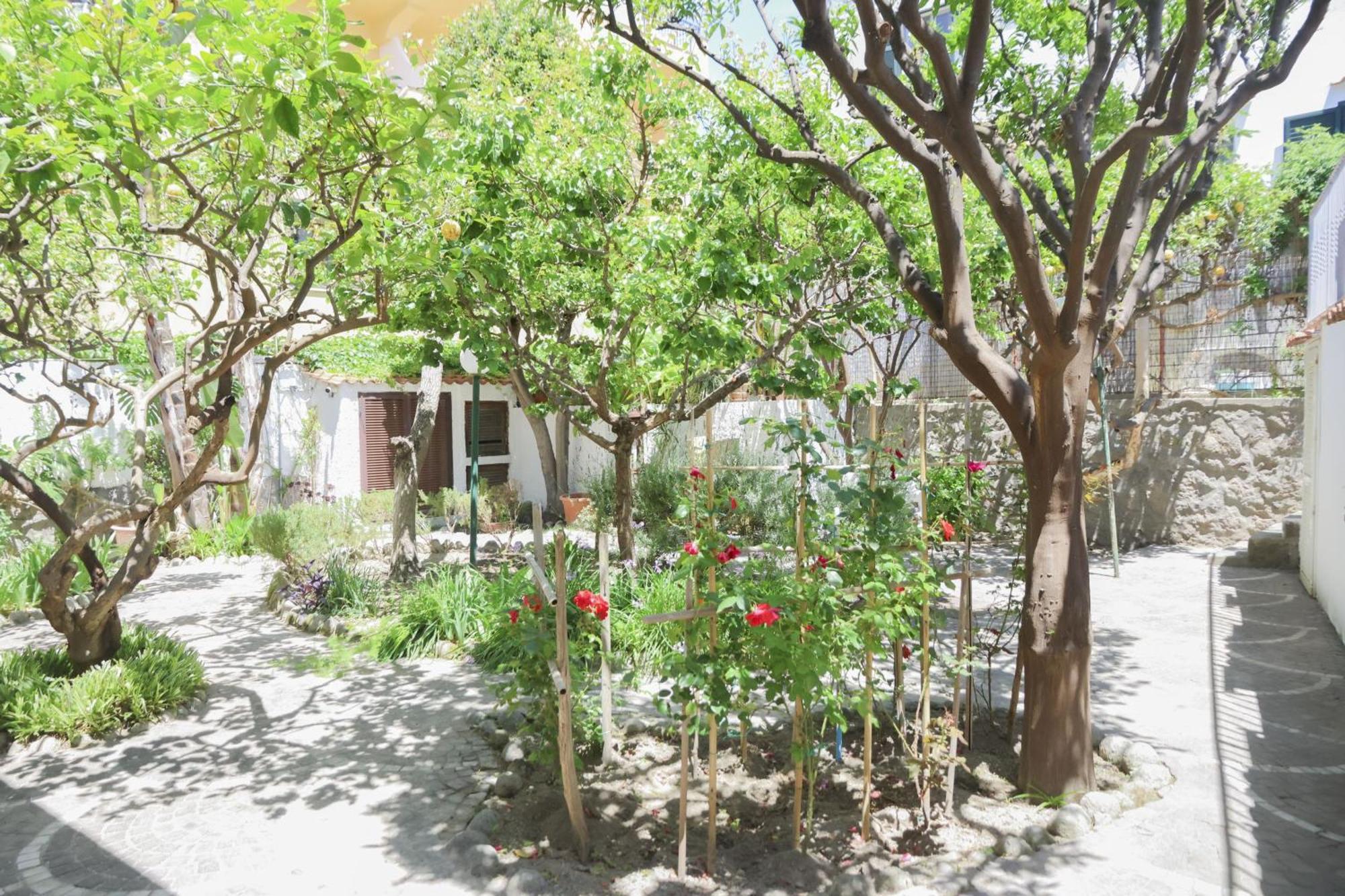 Hotel Cesotta Forio di Ischia Exterior foto